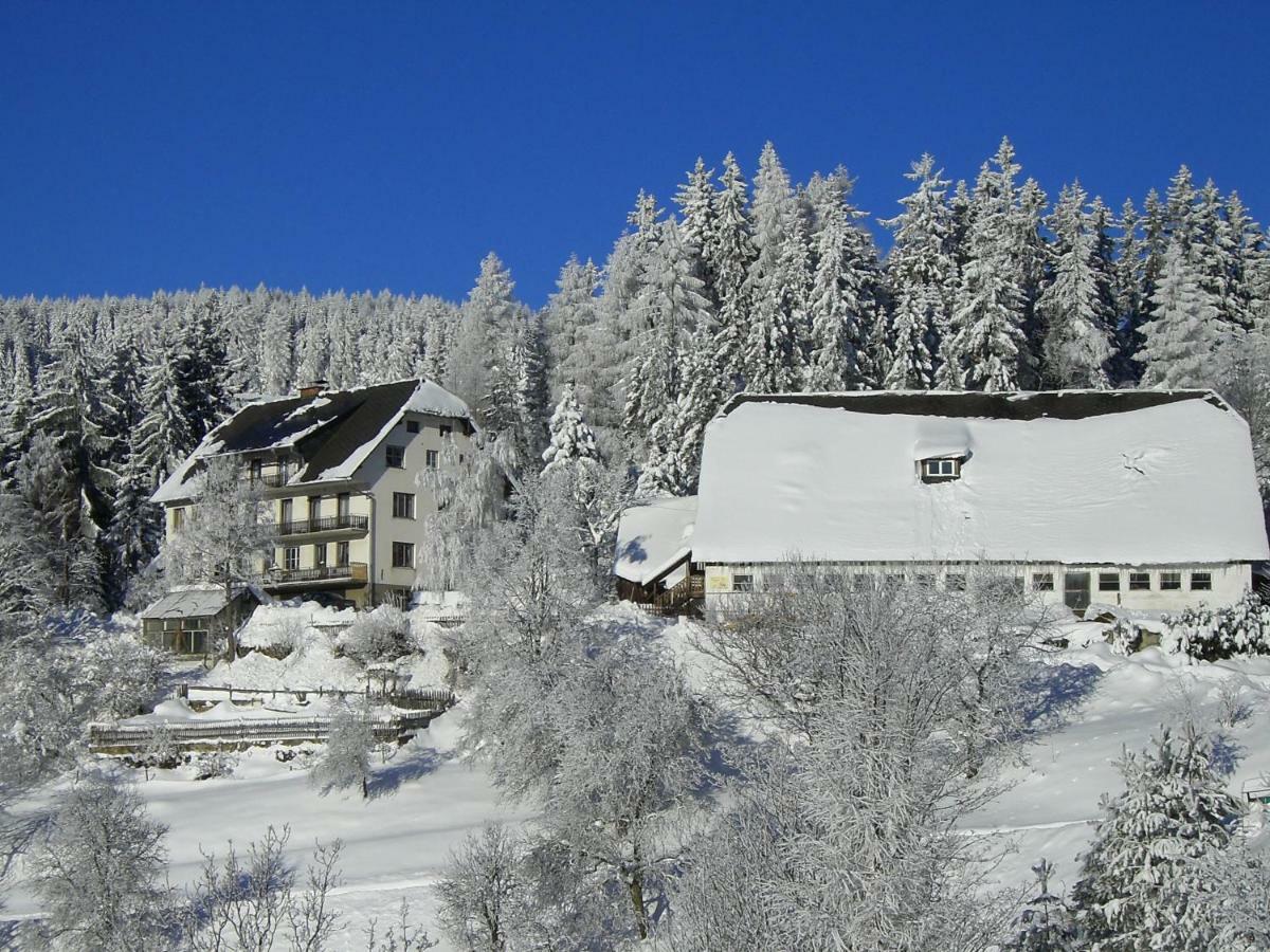 فيلا Urlaub Am Bauernhof Grabenhofer سانكت ياكوب إم فالدي المظهر الخارجي الصورة