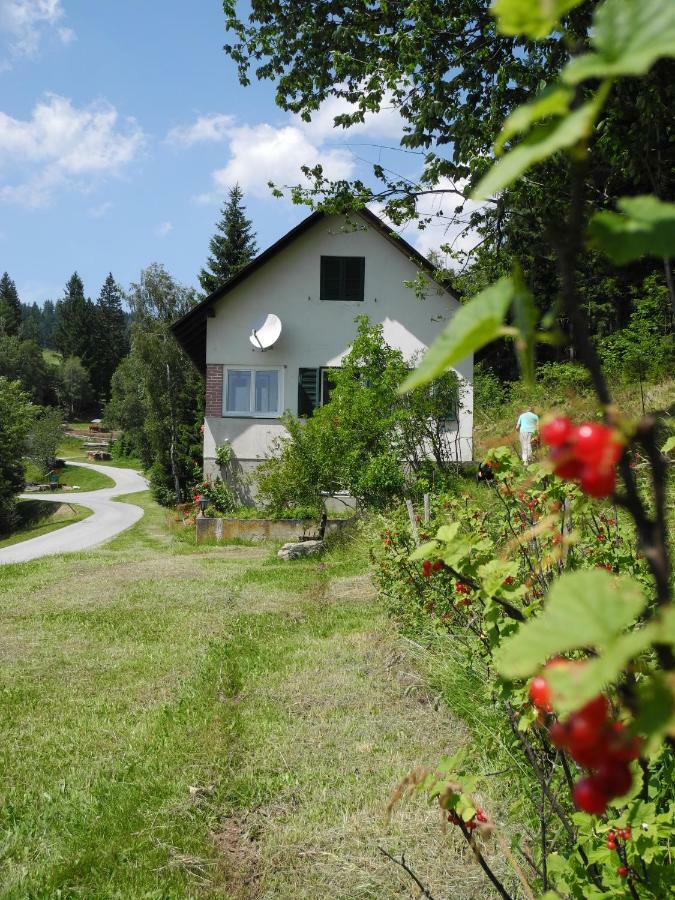 فيلا Urlaub Am Bauernhof Grabenhofer سانكت ياكوب إم فالدي المظهر الخارجي الصورة