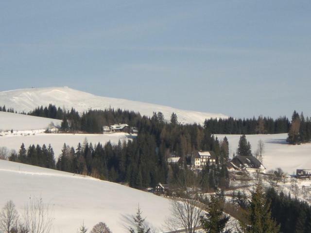فيلا Urlaub Am Bauernhof Grabenhofer سانكت ياكوب إم فالدي المظهر الخارجي الصورة